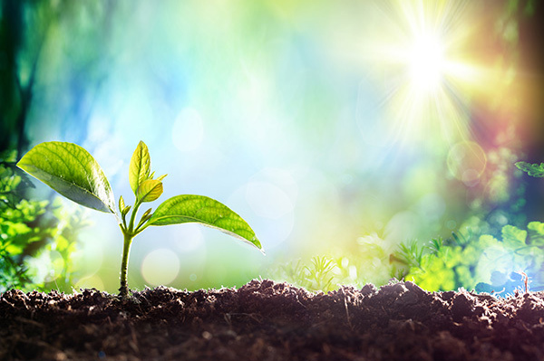 公司新闻动态标题—内容整理中..